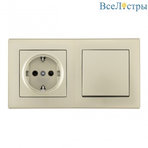 Выключатель одноклавишный с розеткой Arte Milano SET06-2-30-1-40-1 shampan
