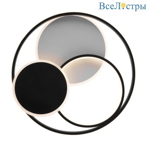 Потолочный светильник Freya Cosmic Market FR10015CL-L94WB