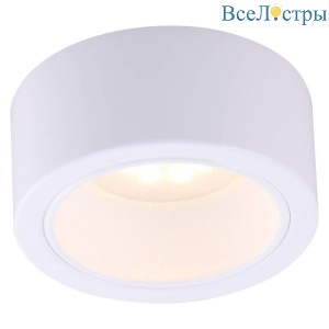 Потолочный светильник Arte Lamp Effetto A5553PL-1WH