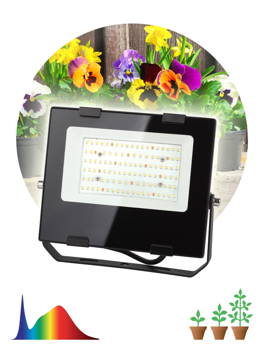 фитопрожектор для растений эра fito-50w-ra90-led б0047875