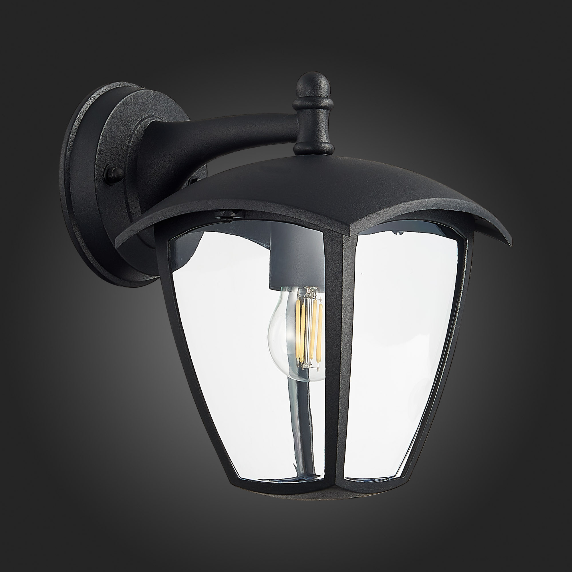 уличный настенный светильник st luce sivino sl081.411.01