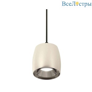 Комплект подвесного светильника Ambrella light Techno Spot XP1143001 PSL/SBK серебро полированное/черный песок (A2302, C1143, N7032)