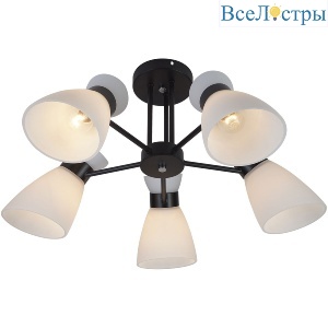 Потолочная люстра Reluce 01416-0.3-05 BK+CR