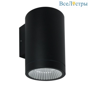 Уличный настенный светильник Arte Lamp Torcular A1813AL-1BK