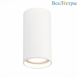 Потолочный светодиодный светильник ST Luce ST157.542.15