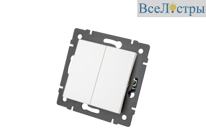 Механизм выключателя двухклавишный проходной Arlight SWT-MKP2-PL-WH-V (250V, 10A) 049892