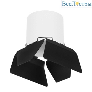 Потолочный светильник Lightstar Rullo (213486+202487) R3486487