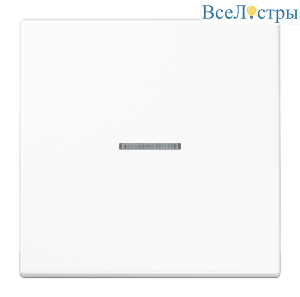 Клавиша с линзой Jung LS990KO5WW