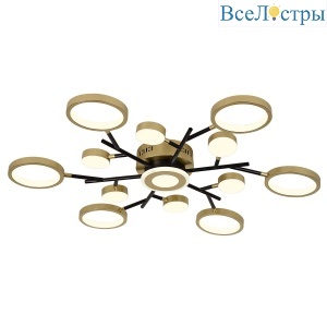 Потолочный светильник F-Promo Hybrid 4686-13C