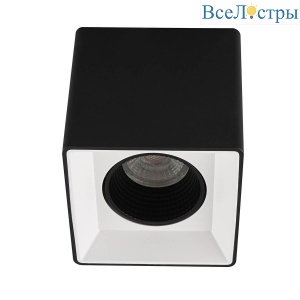 Накладной светильник Denkirs DK3080-BW+BK