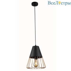 Подвесной светильник Rivoli Kasimira 5050-201 Б0047529
