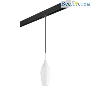 Трековый светильник Lightstar Pentola (803020+595007) PRO803020