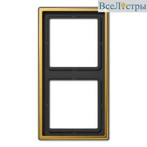 Рамка двухместная Jung LS982GGO