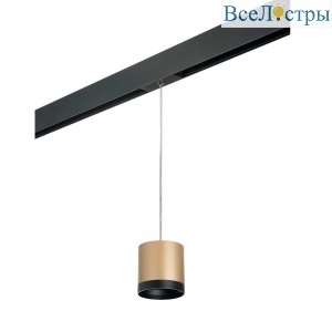 Трековый светильник Lightstar Rullo (213490+595887+203487) PRORP34903487
