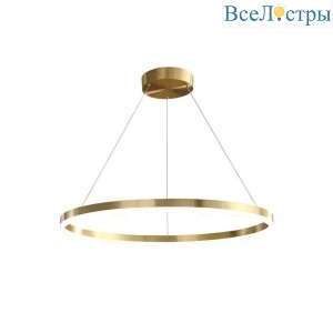 Подвесная светодиодная люстра Aployt Armel APL.049.13.40