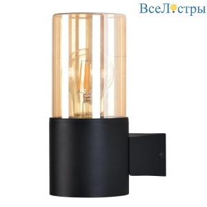 Уличный настенный светильник Arte Lamp Seginus A6515AL-1BK