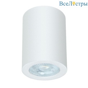 Потолочный светильник Arte Lamp Tino A1468PL-1WH