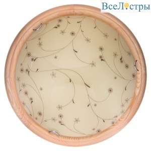 Настенно-потолочный светодиодный светильник Toplight Karissa TL9650Y-00PN