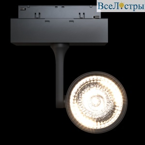 Трековый светильник Maytoni Oko TR024-2-10B3K