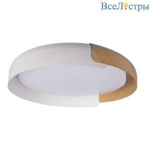 Потолочный светодиодный светильник Loft IT Coin 10198 White