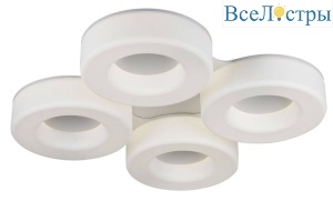 Потолочный светильник ST Luce Lordin SL886.552.04