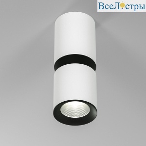 Потолочный светодиодный светильник Elektrostandard Kayo 25048/LED 12W 4000К белый/чёрный a064728