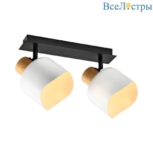 Спот IMEX SP.050-52-87
