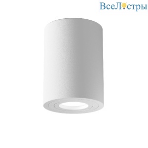 Потолочный светильник Maytoni Alfa C016CL-01W
