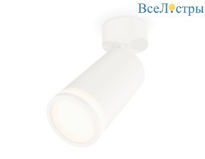 Спот Ambrella Light Techno Spot XM6322013 (A2202, C6322, N6220)