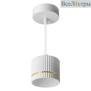Подвесной светильник Wolta Nimb WSL-GX53/P18WG