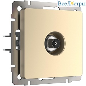 ТВ-розетка оконечная Werkel шампань W1183011 4690389157516