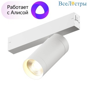 Трековый светильник Denkirs Smart DK8020-WH