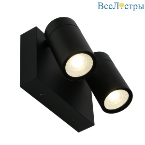Уличный настенный светильник General Астрал GWL-2MR16-GU10-R-IP65 662741