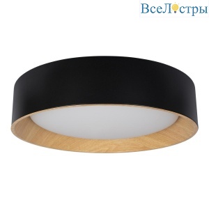 Потолочный светодиодный светильник Loft IT Coin 10202 Black