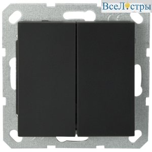 Выключатель двухклавишный Jasmart проходной с накладкой 10A 250V черный матовый (soft touch) G3022PB