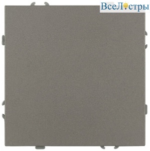 Кнопка Эра Galaxy 15-1109-07 10АХ-250В IP20 титан Б0070765