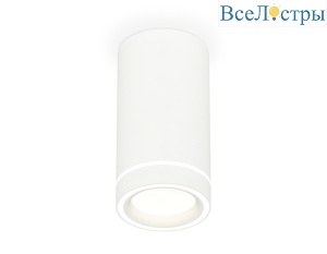 Потолочный светильник Ambrella Light Techno Spot XS8161004 (C8161, N8433)