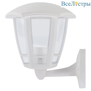 Уличный настенный светильник Эра Дели ДБУ 07-8-005 Б0064225
