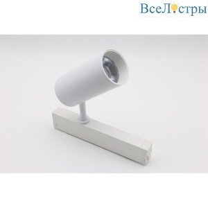 Трековый магнитный светильник Aployt Magnetic track 220 APL.0205.10.20