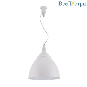 Подвесной светильник Maytoni Bellevue P535PL-01W