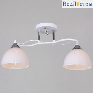 Потолочный светильник Reluce 85460-0.3-02 WH+CR
