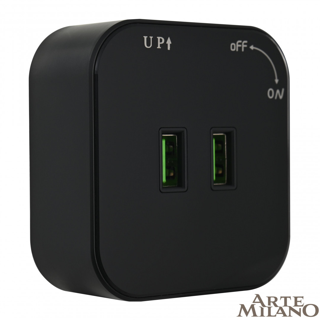 трековая розетка arte milano am-track-sockets 380022ts/usbx2 black