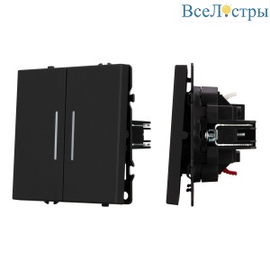 Механизм выключателя двухклавишный непроходной Arlight LED SWT-NOBE-MK02-SFPL-L-BK (230V, 10A) 054264