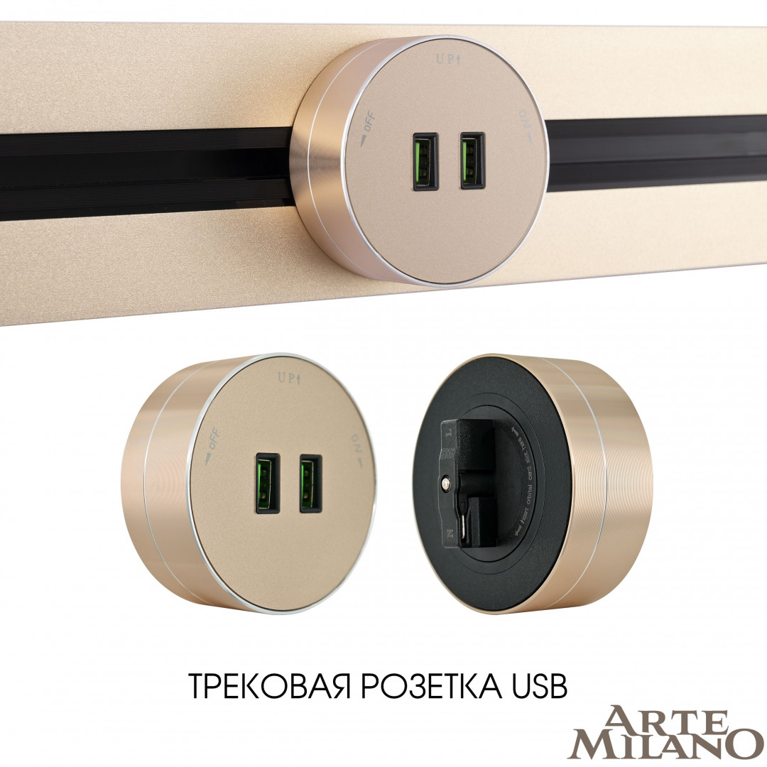 трековая розетка arte milano am-track-sockets 380011ts/usbx2 gold