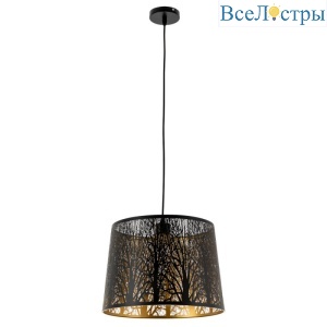 Подвесной светильник ARTE Lamp A2769SP-1BK