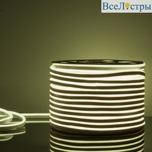 Гибкий неон Elektrostandard 9,6W/m 120LED/m 2835SMD белый 50M a040597