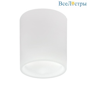 Накладной светильник Lightstar Solido E27 216626