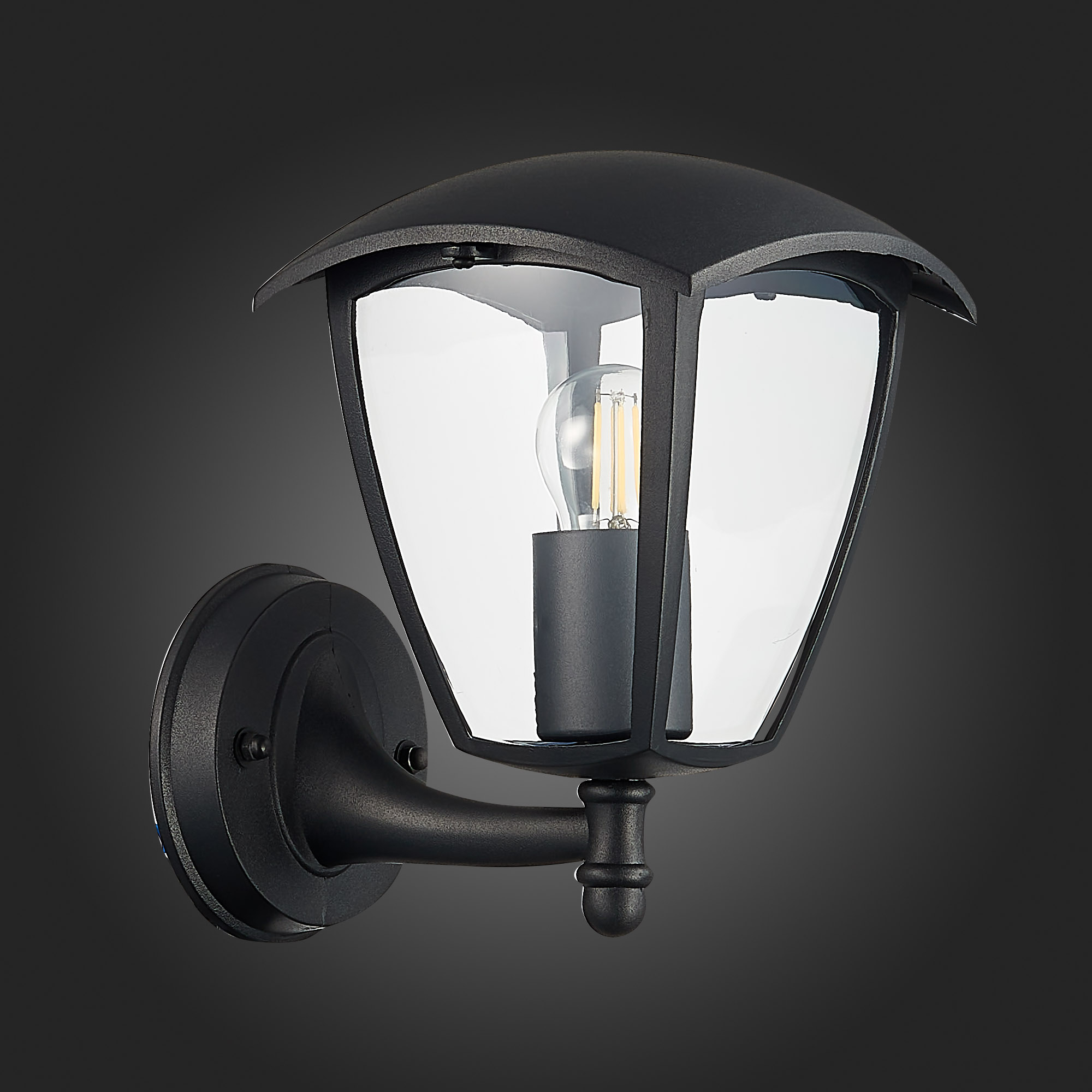 уличный настенный светильник st luce sivino sl081.401.01