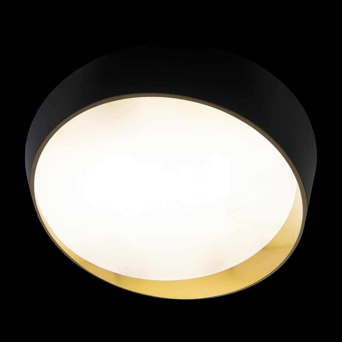 потолочный светодиодный светильник loft it coin 10199 black