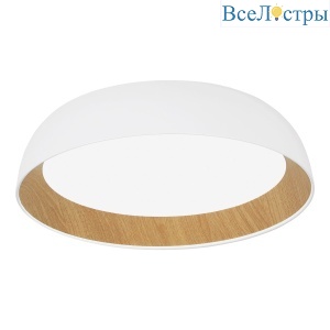 Потолочный светильник Evoluce Muse SLE1812-502-01